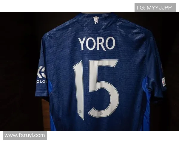 普拉蒂尼的足球传奇与影响力：从球场到管理的辉煌历程